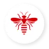 Bee and Wasp icon