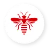 Wasp icon