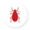 Pest Control in Eastern and Central PA