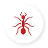 Pest Control in Eastern and Central PA