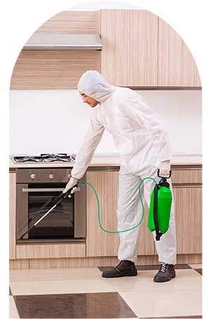 Pest Control in Eastern and Central PA