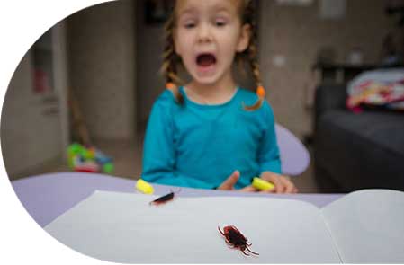 Pest Control in Eastern and Central PA