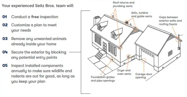 Wildlife control infographic - learn how Seitz Bros animal control in pennsylvania works